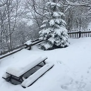  Appartement Au Pied Du Télécabine De Pra Loup Les Molanes